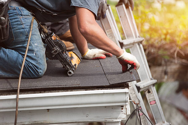 Best Metal Roofing Contractor  in Pine Ridge, FL