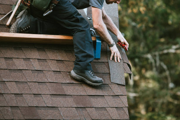 Best New Roof Installation  in Pine Ridge, FL
